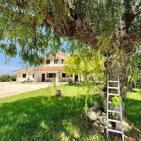 Villa Andrea San Lorenzo 诺托 外观 照片