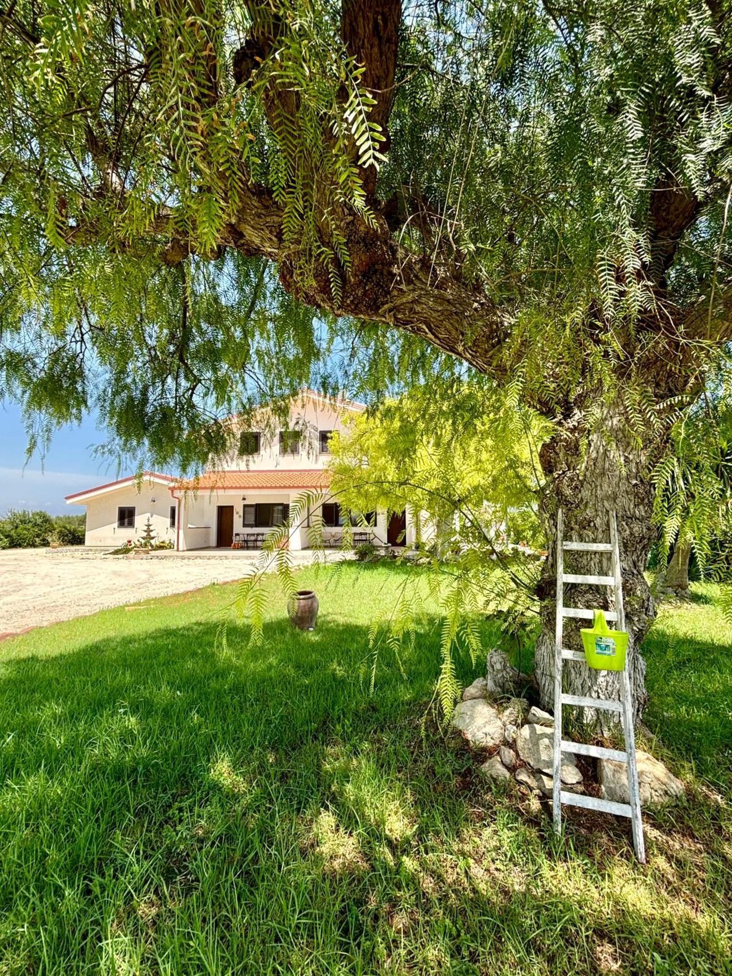 Villa Andrea San Lorenzo 诺托 外观 照片